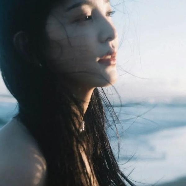 热血忠魂之独行侍卫